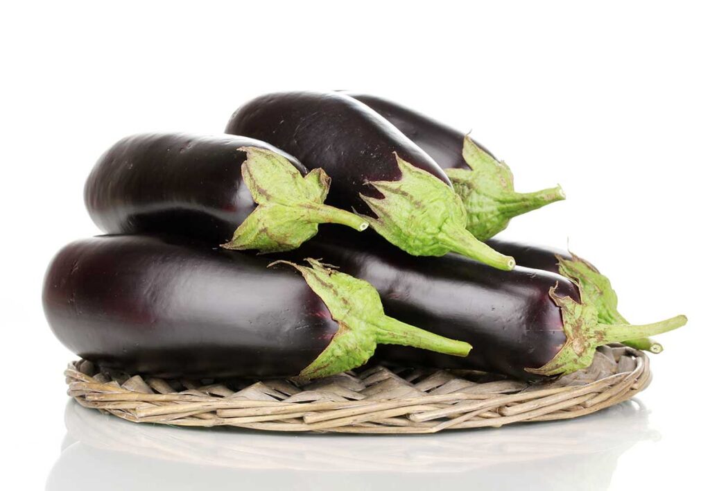 hydroponic eggplants guide