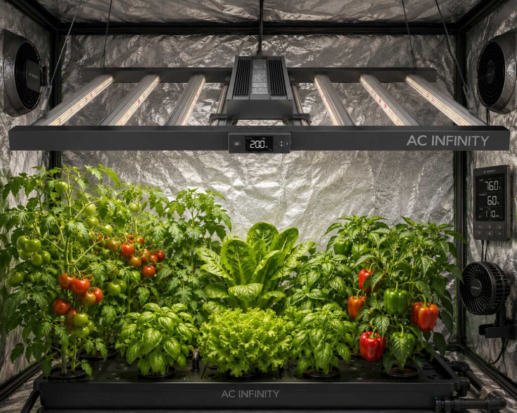 AC Infinity IONFRAME EVO6 best grow light for herbs
