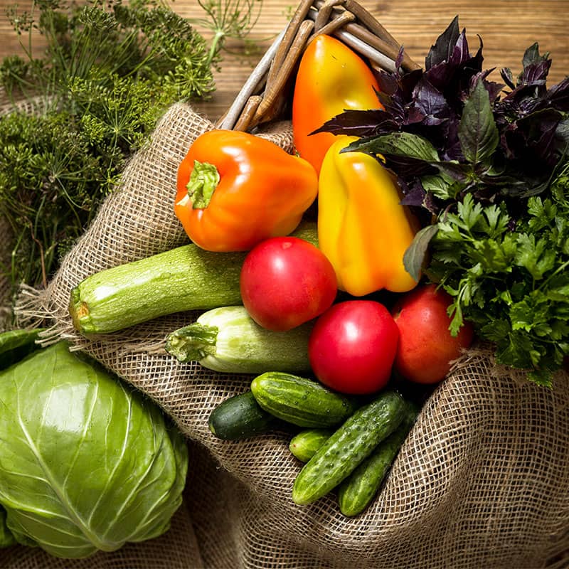 Best 10 Hydroponic Vegetables You Can Grow HydroponicFarmTips 