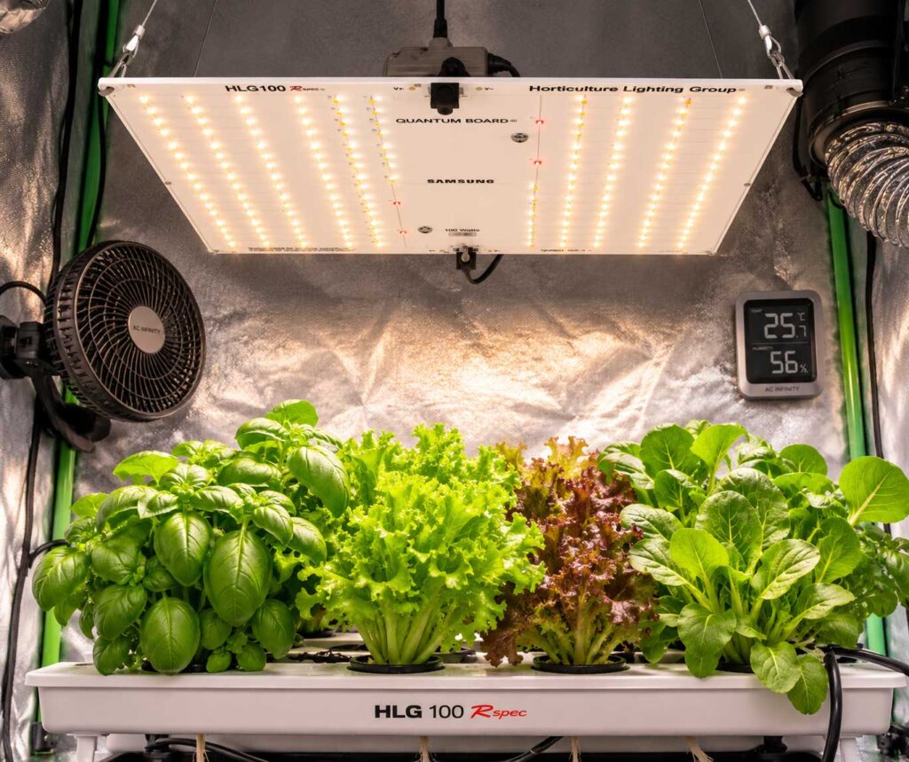 HLG 100 Rspec Best Premium LED Grow Light for Herbs and Leafy Greens