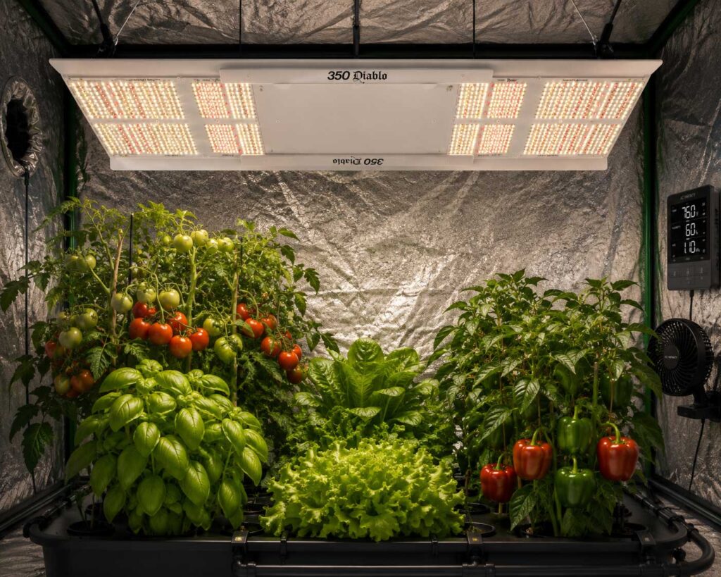 HLG 350 Diablo best grow lights for hydroponics