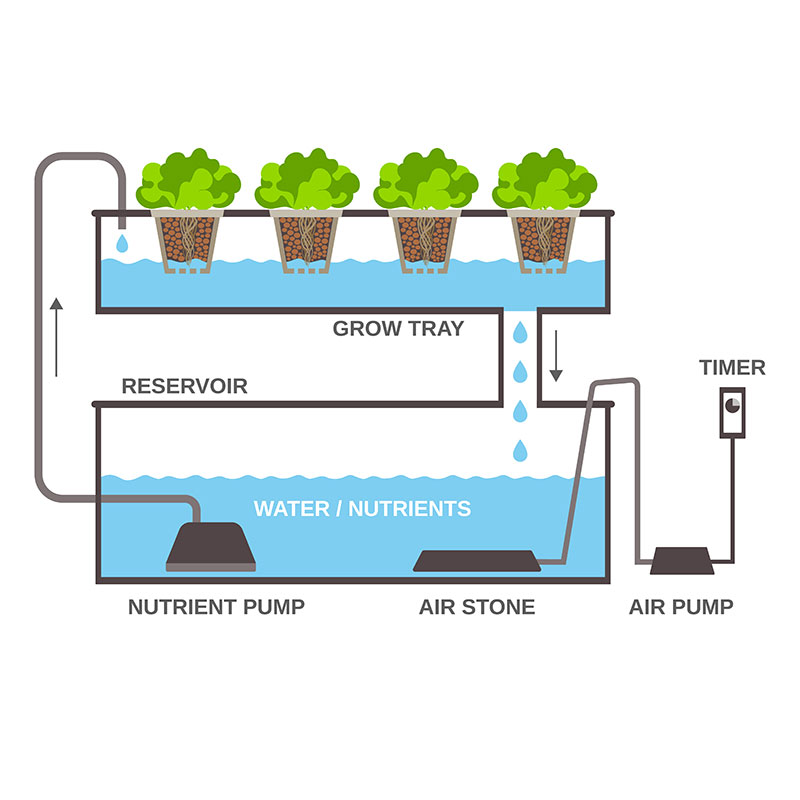 Hydroponic Growing Systems