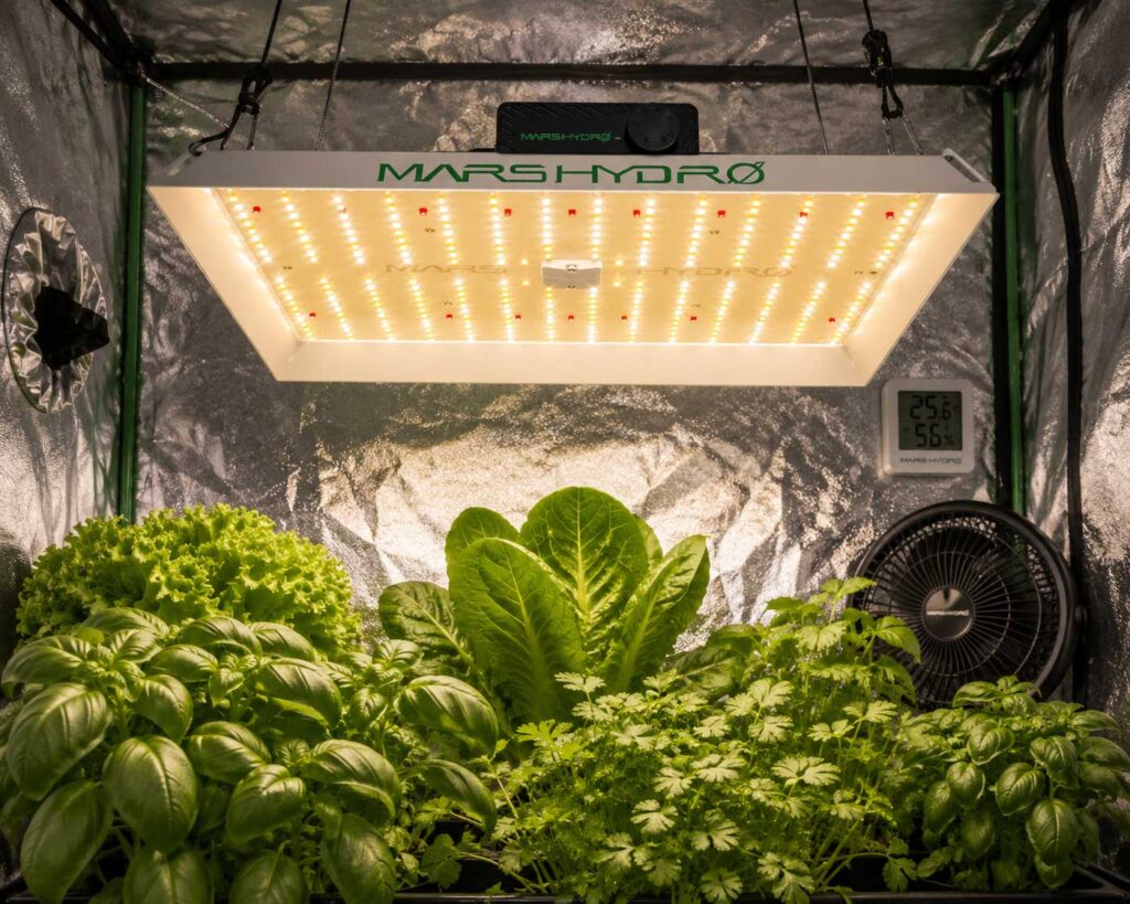 MARS HYDRO TS1000 — Best LED Grow Light for Beginners