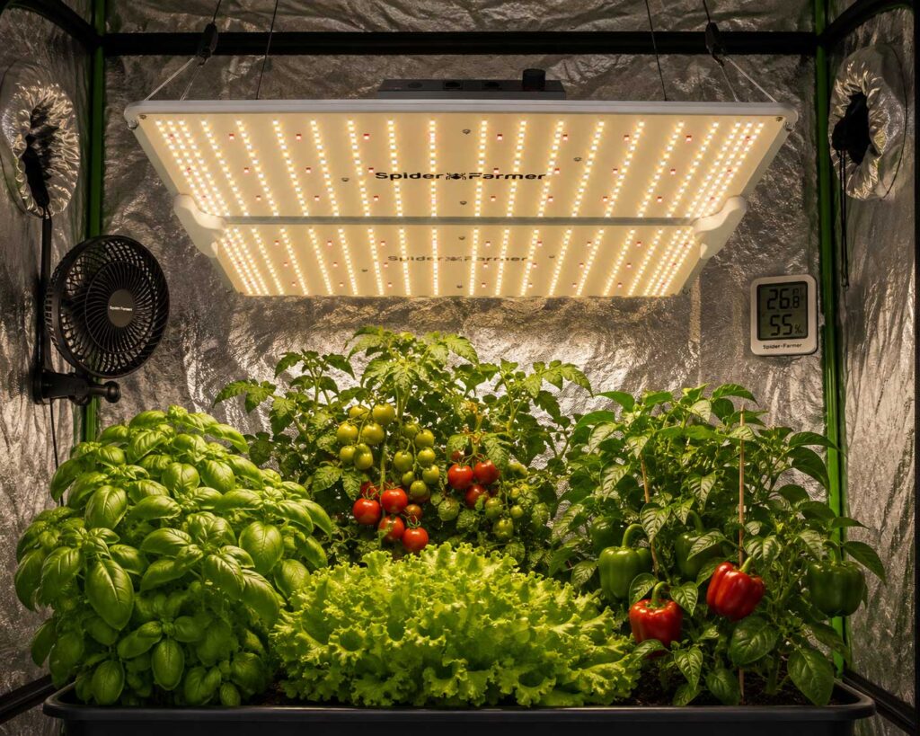 Spider Farmer SF-2000 hydroponic grow lights
