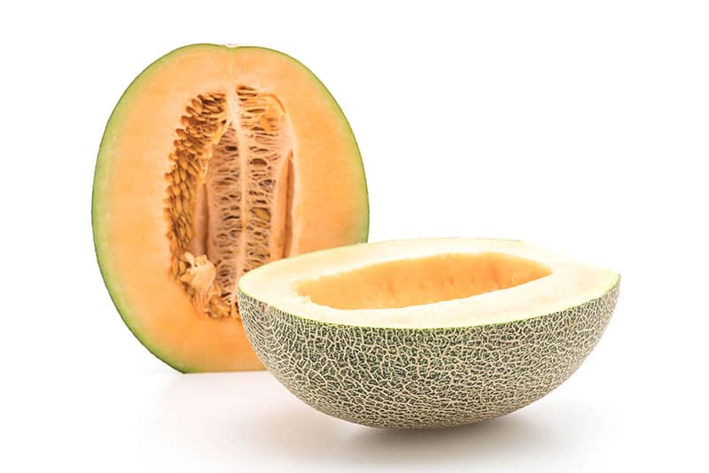 cantaloupe melon