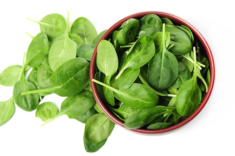 spinach Hydroponic Vegetables