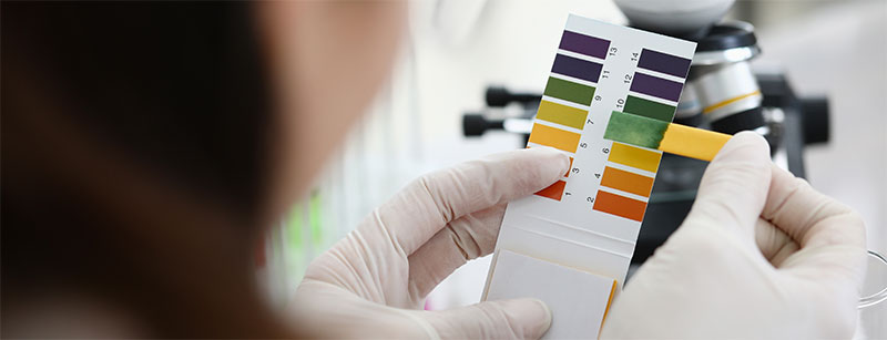 Check pH Level in hydroponic systems