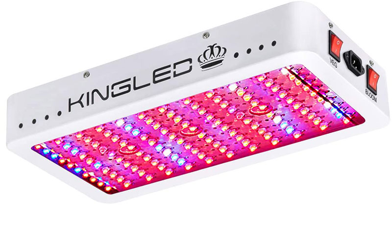 King Plus 1200w LED Grow Light Full Spectrum