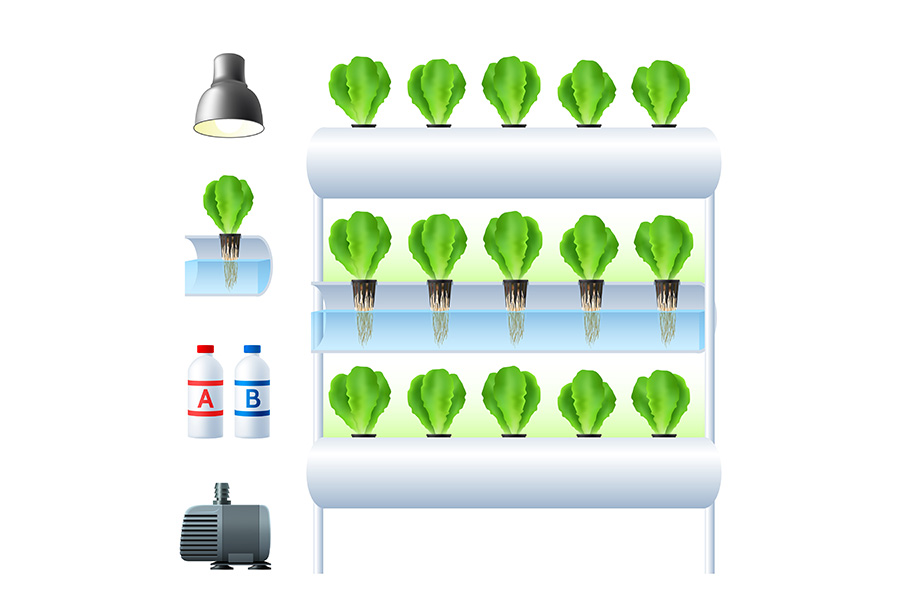 Hydroponic Systems for Home